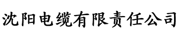 中文有码亚洲综合区电缆厂logo